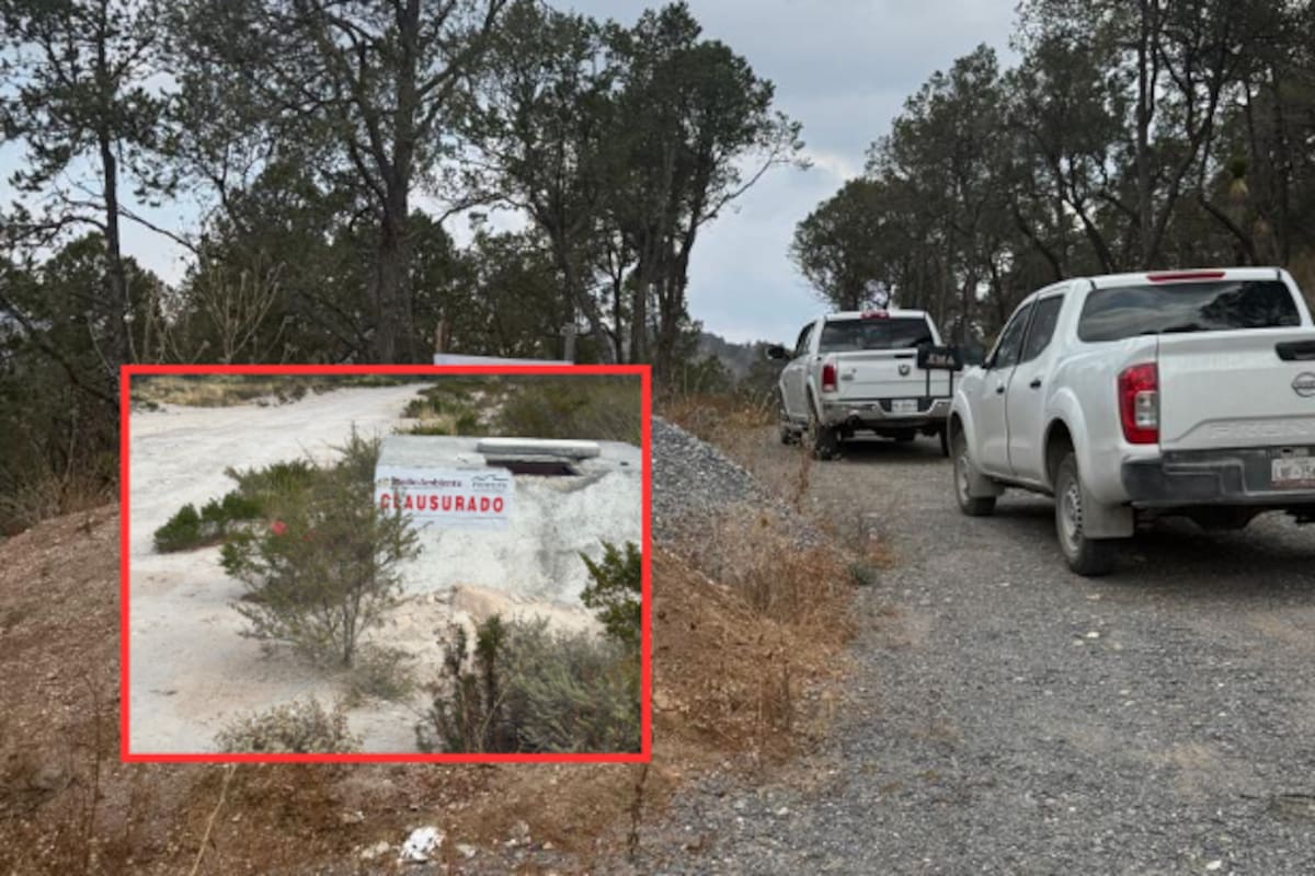 Profepa clausura obras ilegales en Coahuila: devastaron 9.74 hectáreas de bosque y pusieron en riesgo la captación de agua en la Sierra