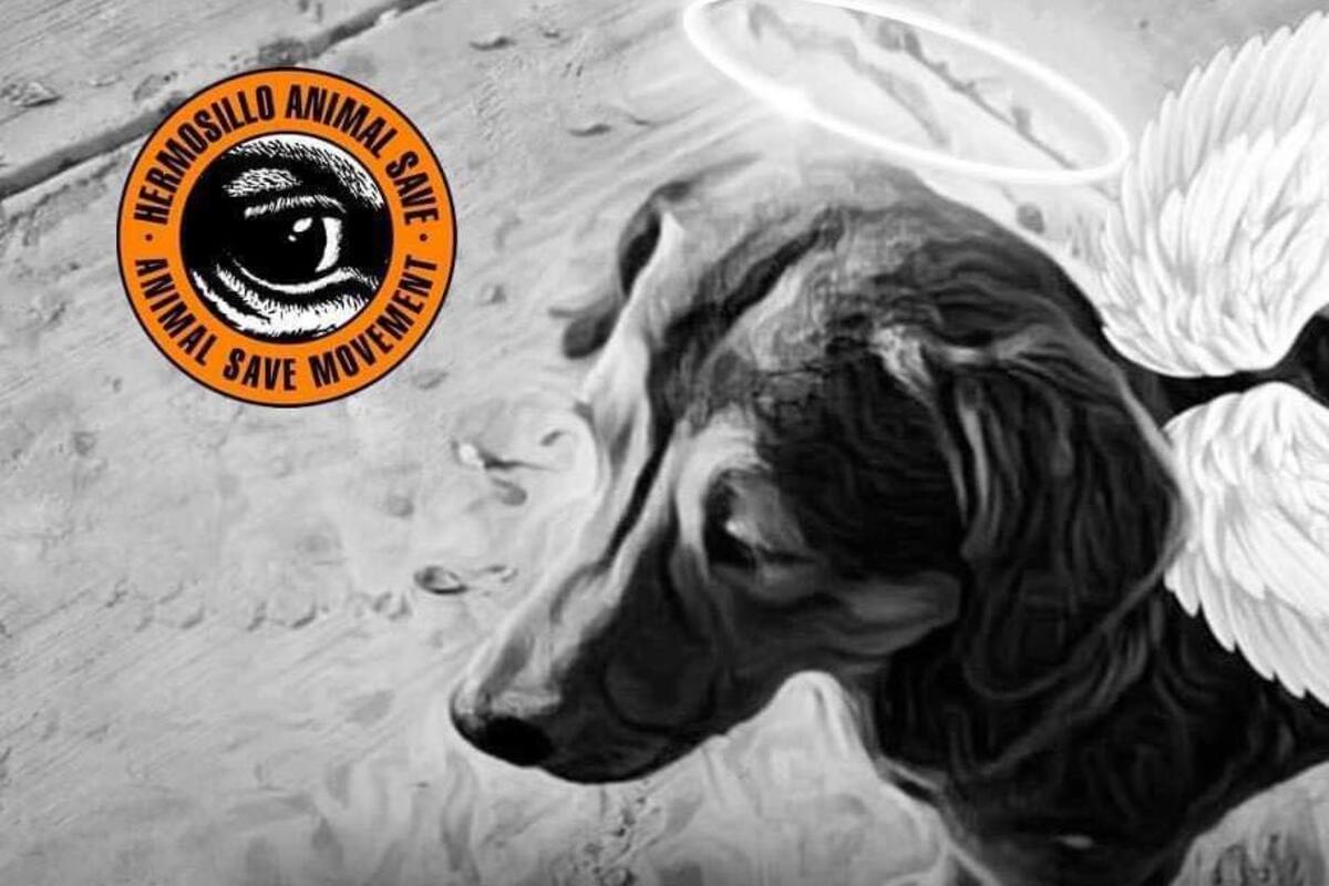 Este domingo, invitan a marcha solidaria para pedir justicia por el caso de “Rodolfo Corazón”
