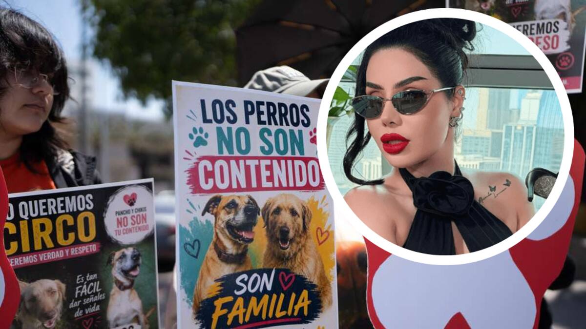 ¿Quién es Sol León, la influencer que está en polémica por la adopción de dos perritos en Tijuana?
