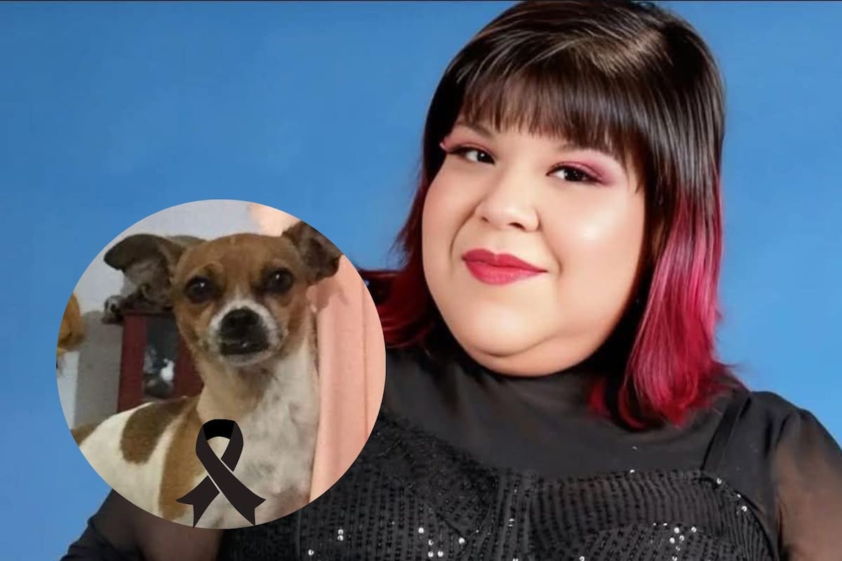 Acusan a la influencer AiméP3 por maltrato animal y muerte de su mascota “Chiwis” por negligencia