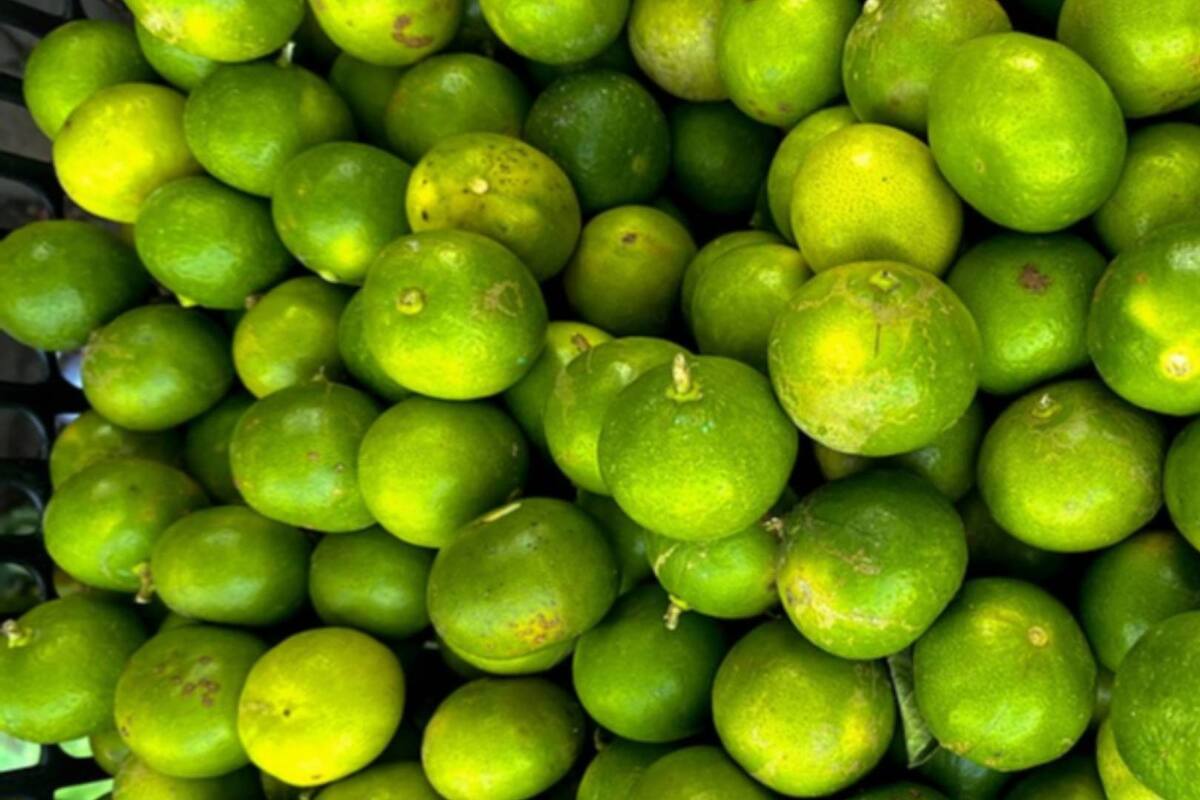 Hasta “80 pesos” el kilo de limón