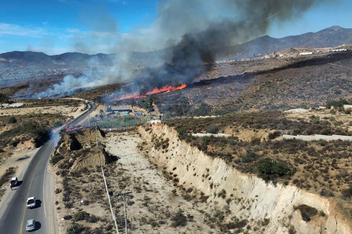 Incendio forestal en El Roble en Ensenada pone en riesgo viviendas