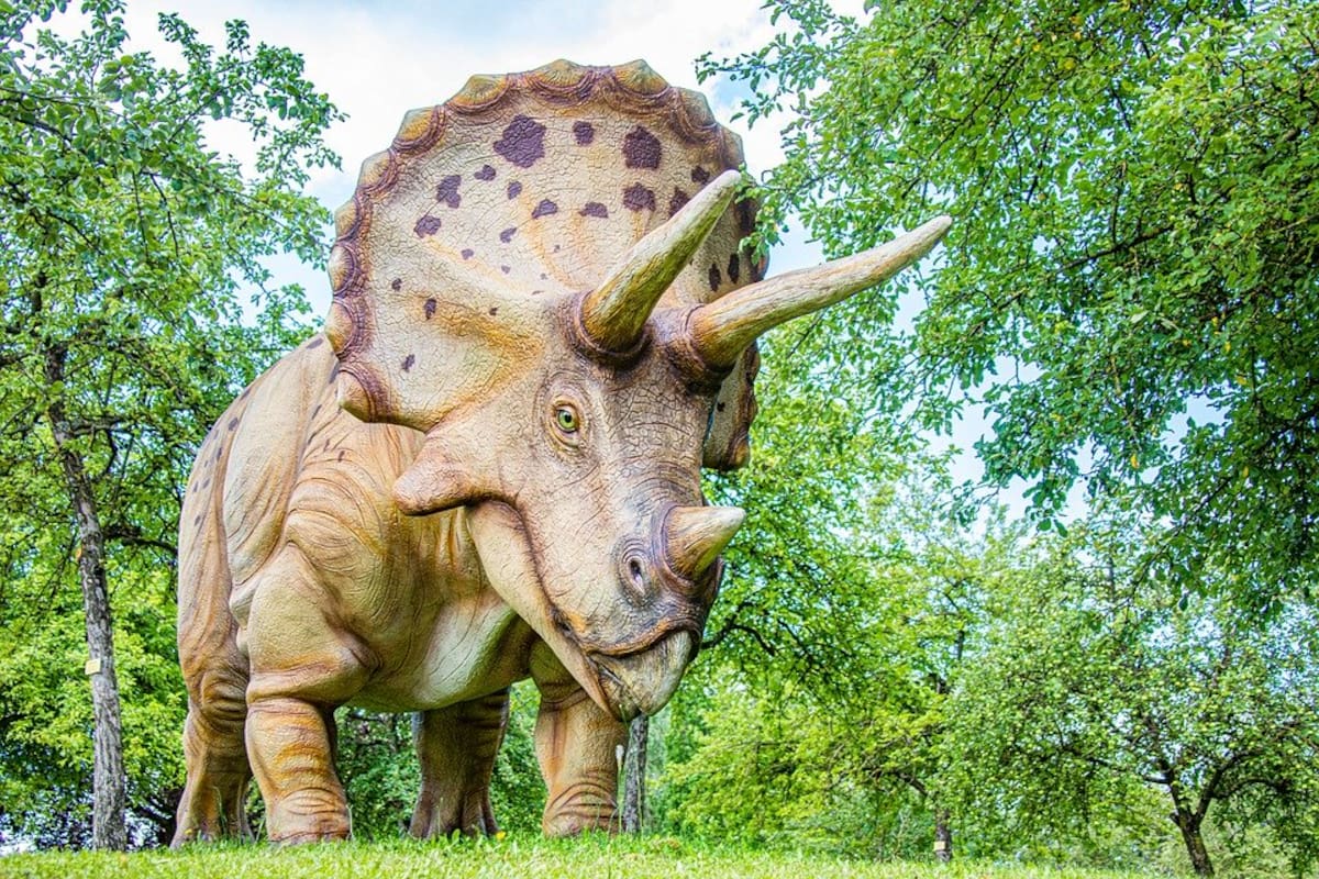 Identifican por primera vez cáncer en un fósil de dinosaurio