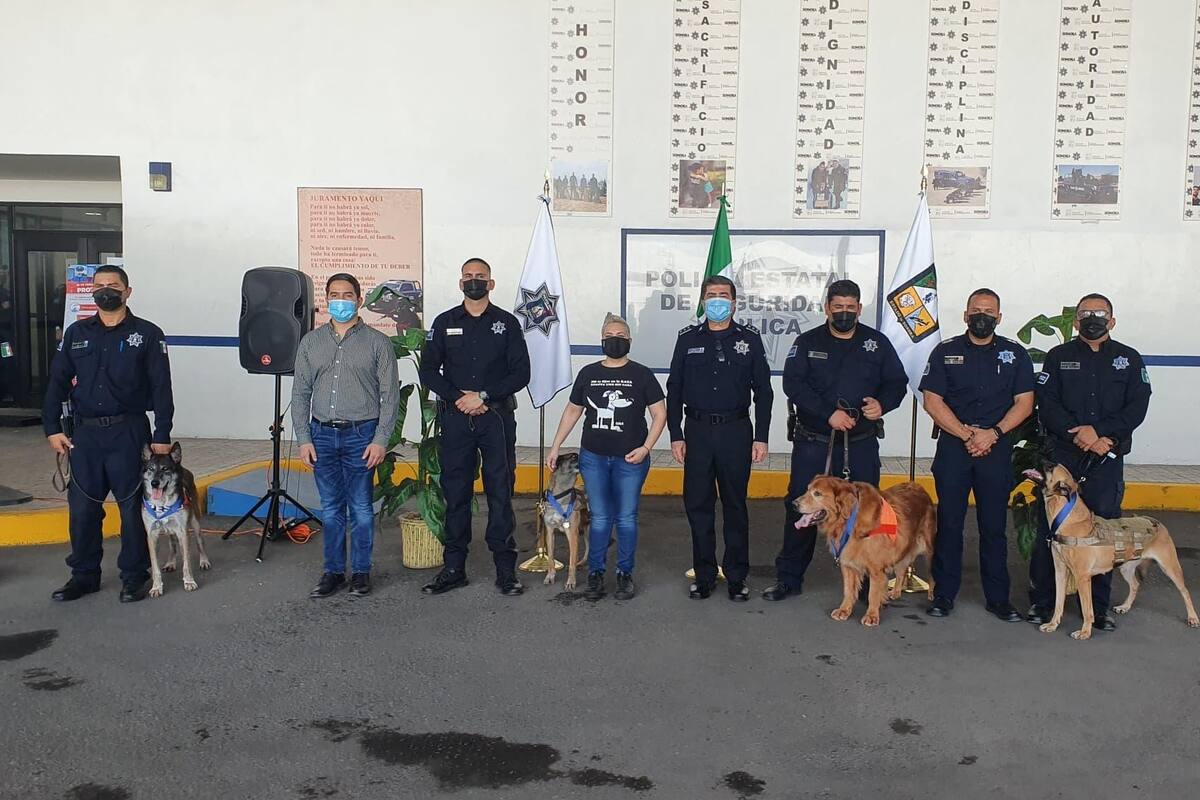 Con medalla, se retiran del servicio de Seguridad Pública los canes Laica, Remi, Gustavo y Wicho
