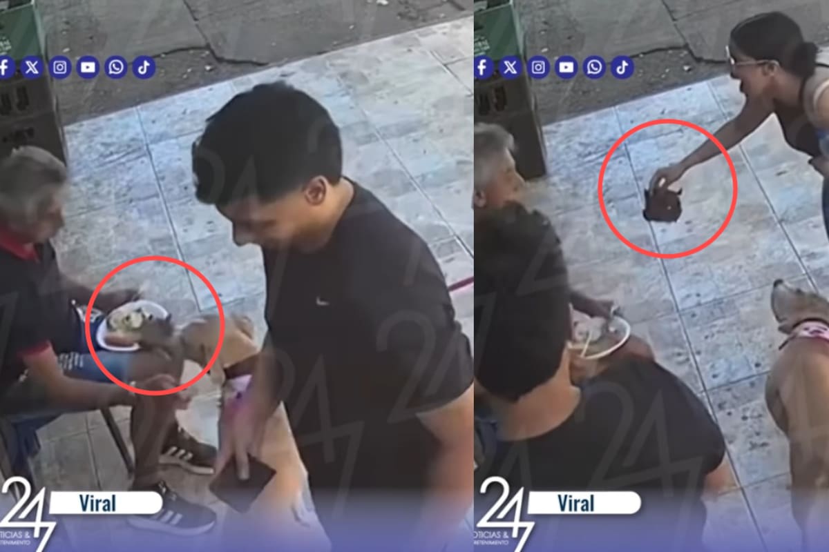 “La dueña intentó devolverle la carne babeada y sucia” Hombre intenta acariciar a un perrito que pasaba, pero el animal termina robándole la carne