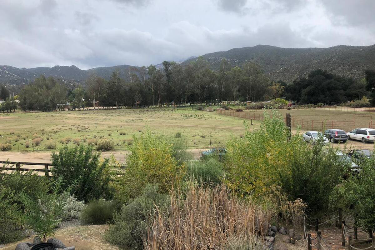 Proyectan jardín etno- botánico en Ensenada