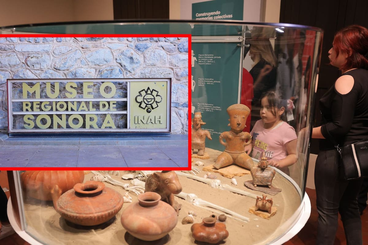 Invitan a disfrutar la exposición “De vuelta a casa”