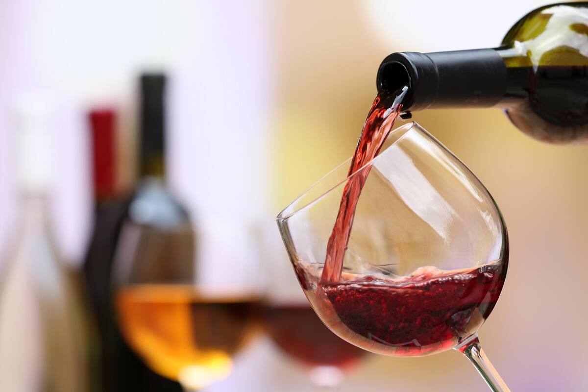 Nuevas experiencias de hospitalidad y vino