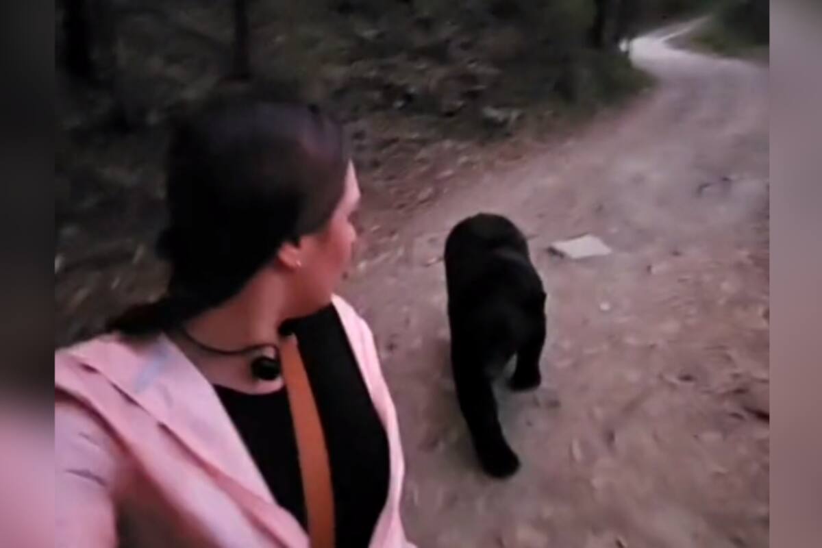 VIRAL: mujer es perseguida por un oso negro en un parque ecológico de Nuevo León