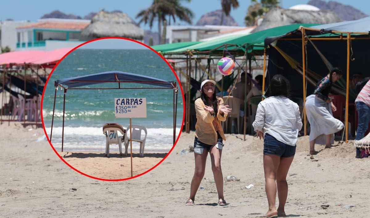 Precios de carpas en Bahía de Kino