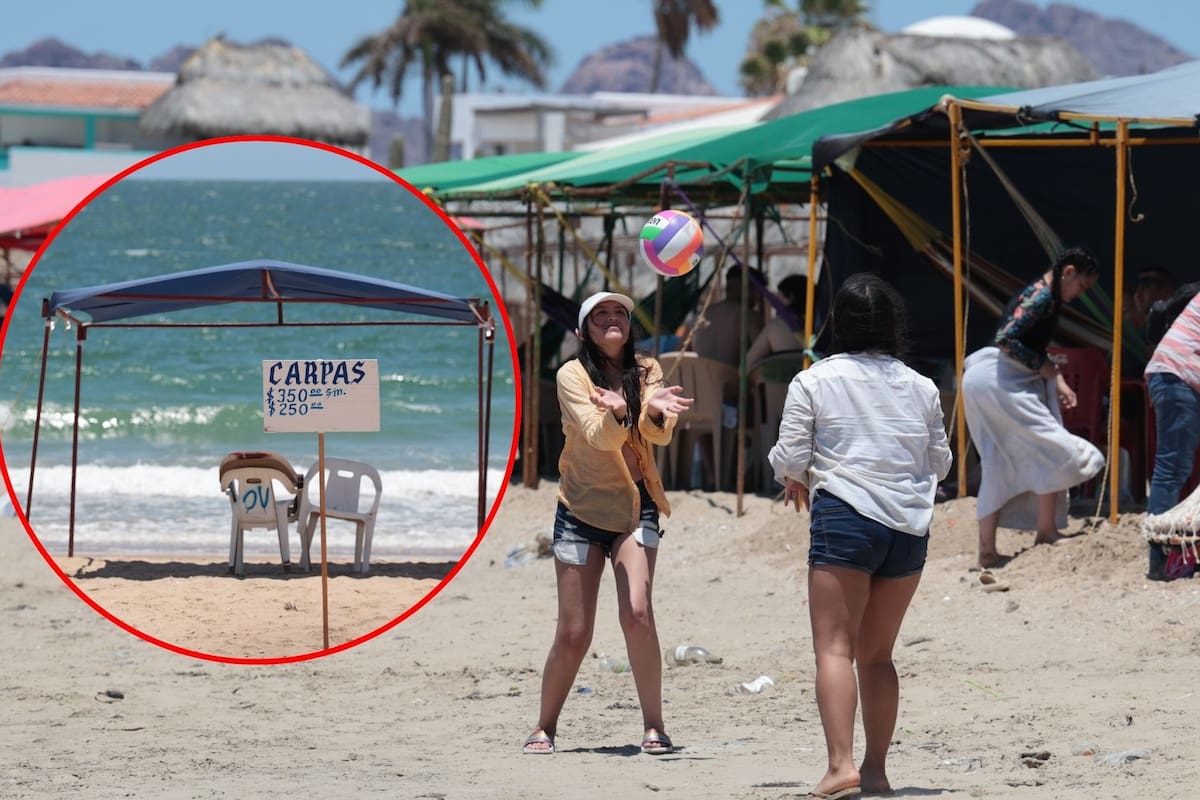 Reportan en Kino hasta 80% de renta de las carpas