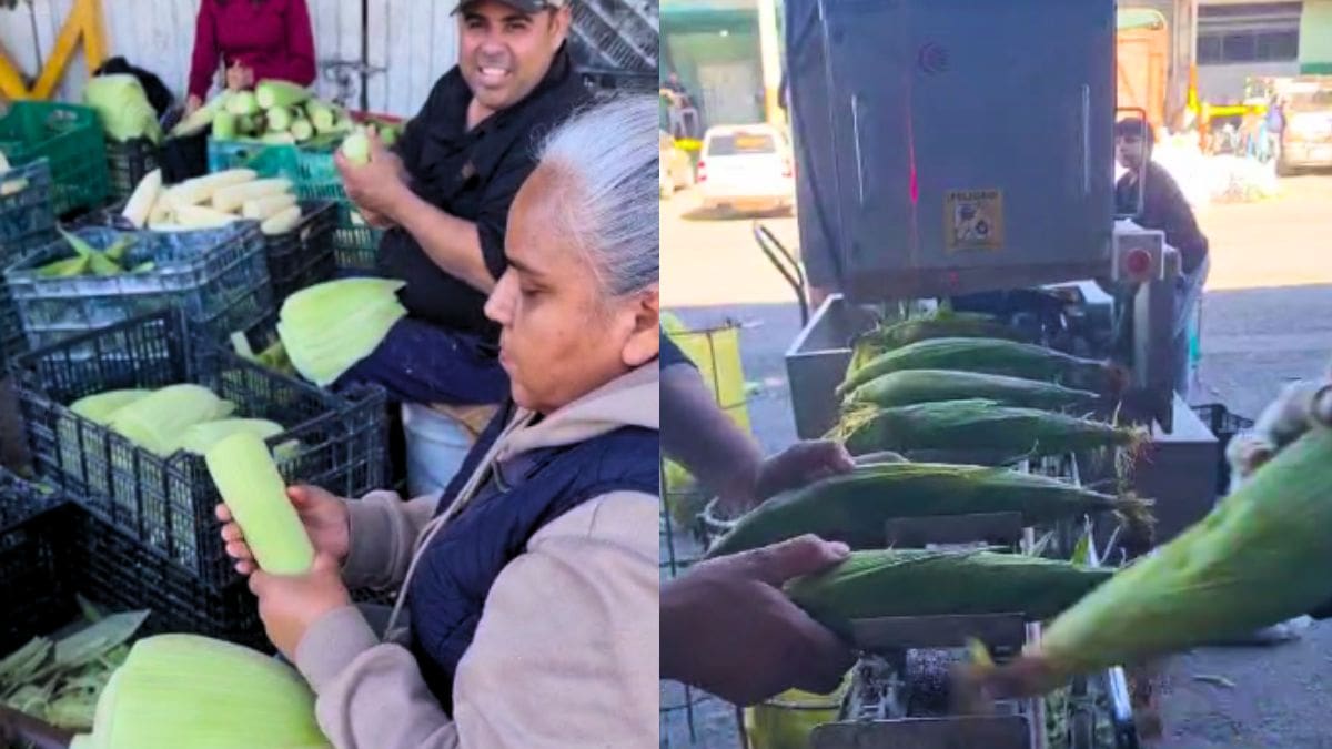Hojas de tamal suben de precio en Hermosillo por la alta demanda y costos de traslado para esta temporada decembrina