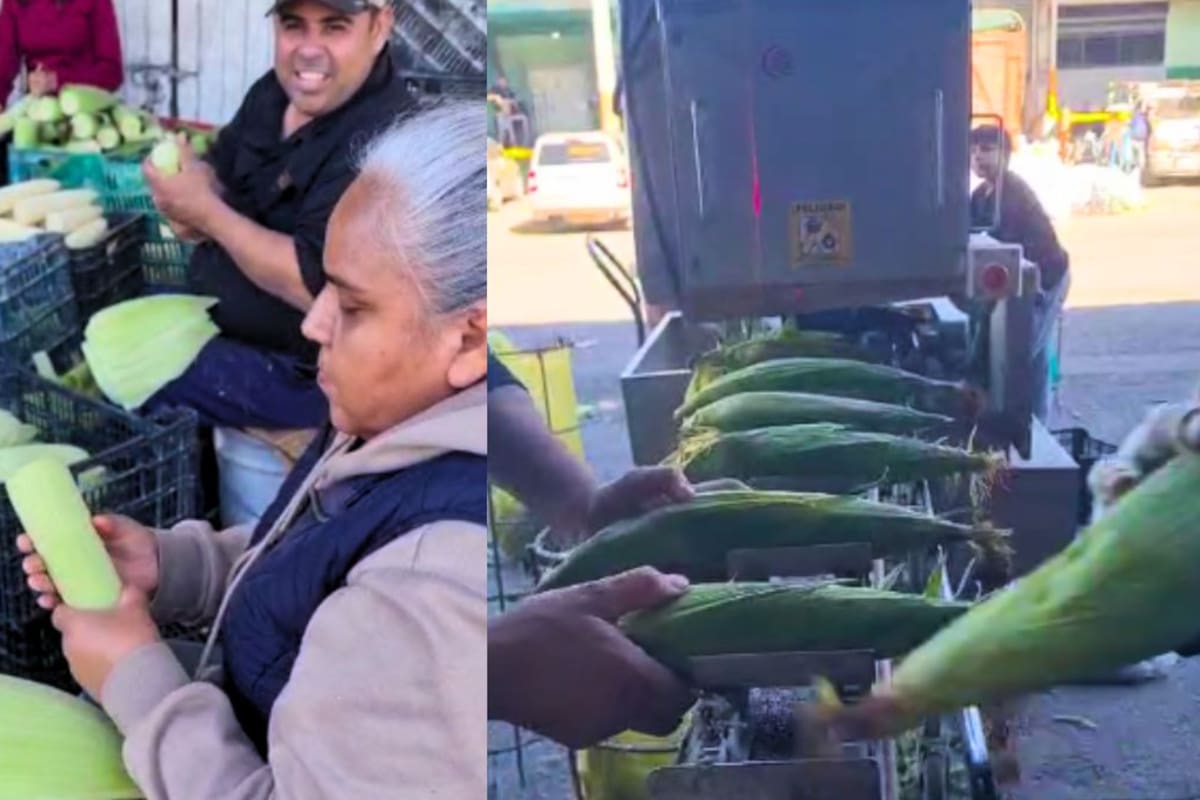 Hojas de tamal suben de precio en Hermosillo por la alta demanda y costos de traslado para esta temporada decembrina