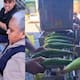 Hojas de tamal suben de precio en Hermosillo por la alta demanda y costos de traslado para esta temporada decembrina