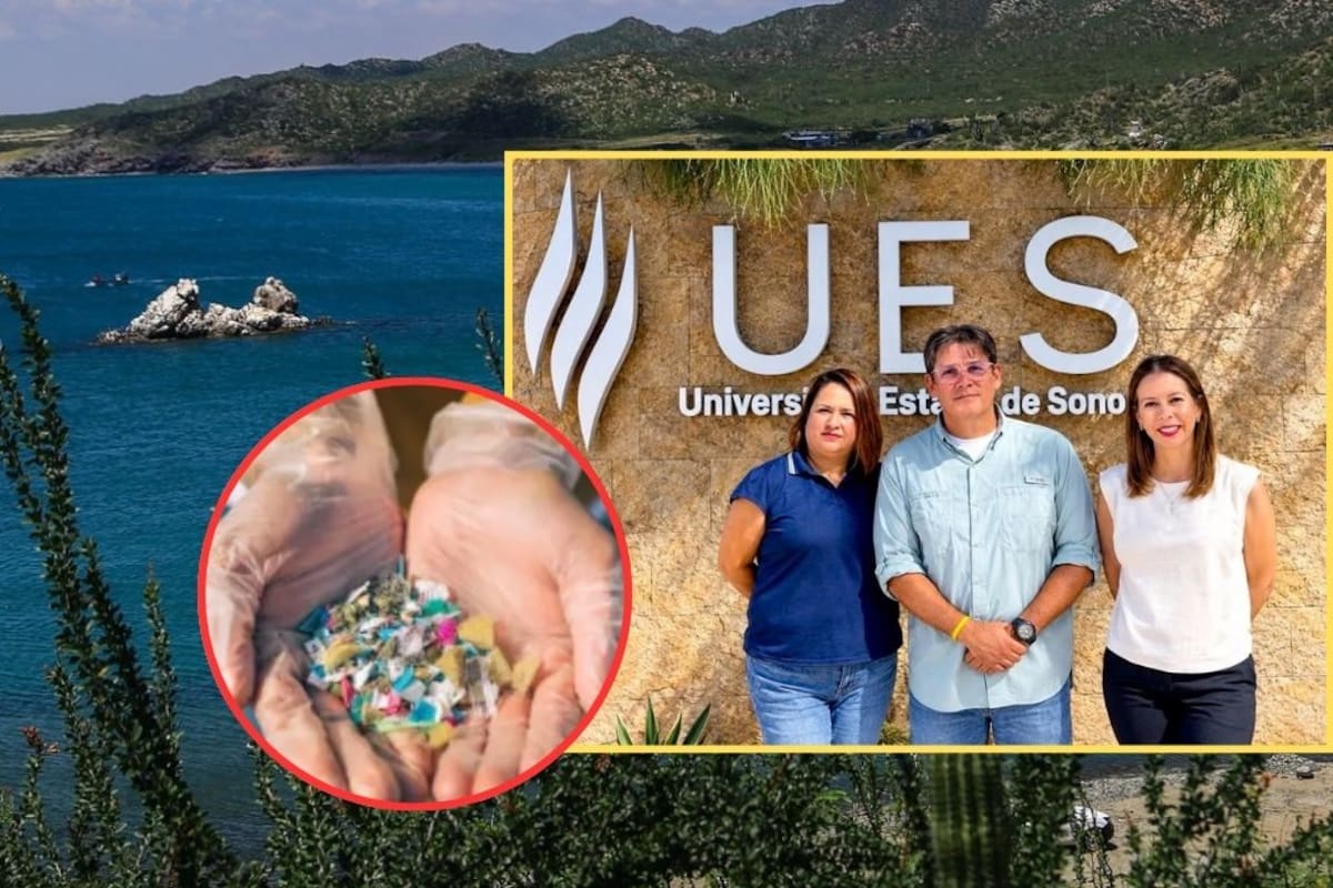 Microplásticos en el Golfo de California serán estudiados por sus posibles efectos en la biodiversidad marina, pesca y acuicultura mediante una investigación de la Universidad Estatal de Sonora con casi 2 millones de pesos de financiamiento