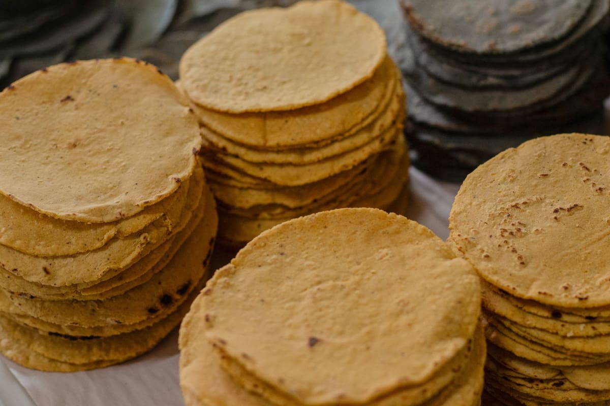 Cómo hacer tortillas de plátano verde con solo un ingrediente