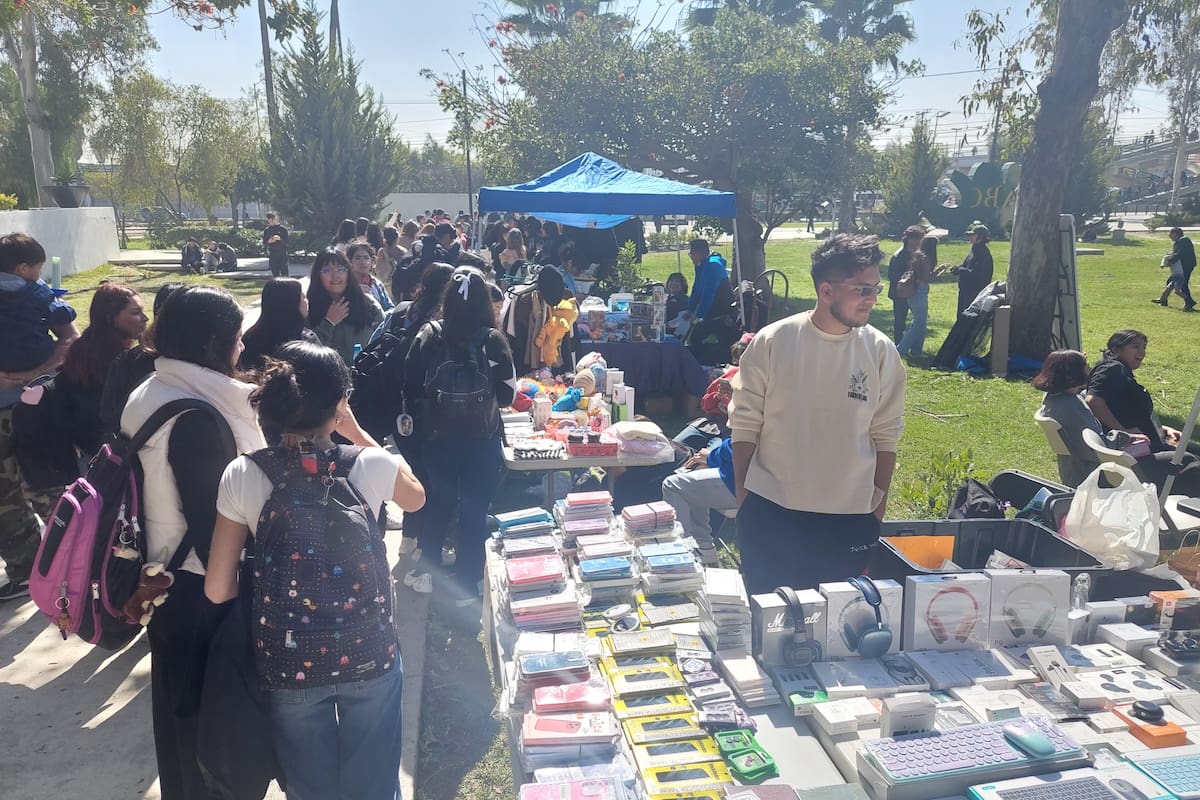 Estudiantes montan su propio ‘sobre’ en UABC