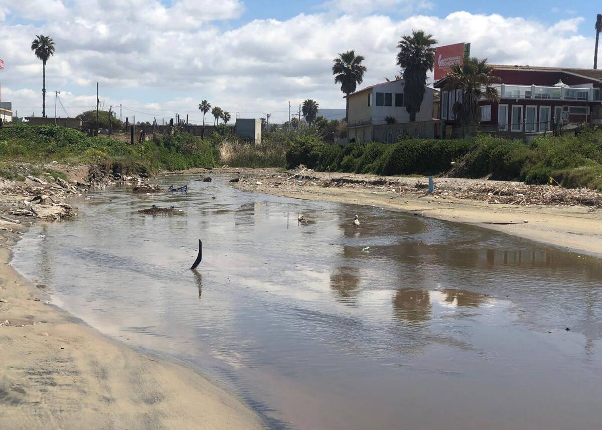 En el lugar también se encuentra montones de palizada que fue arrastrada a la playa durante las pasadas lluvias.