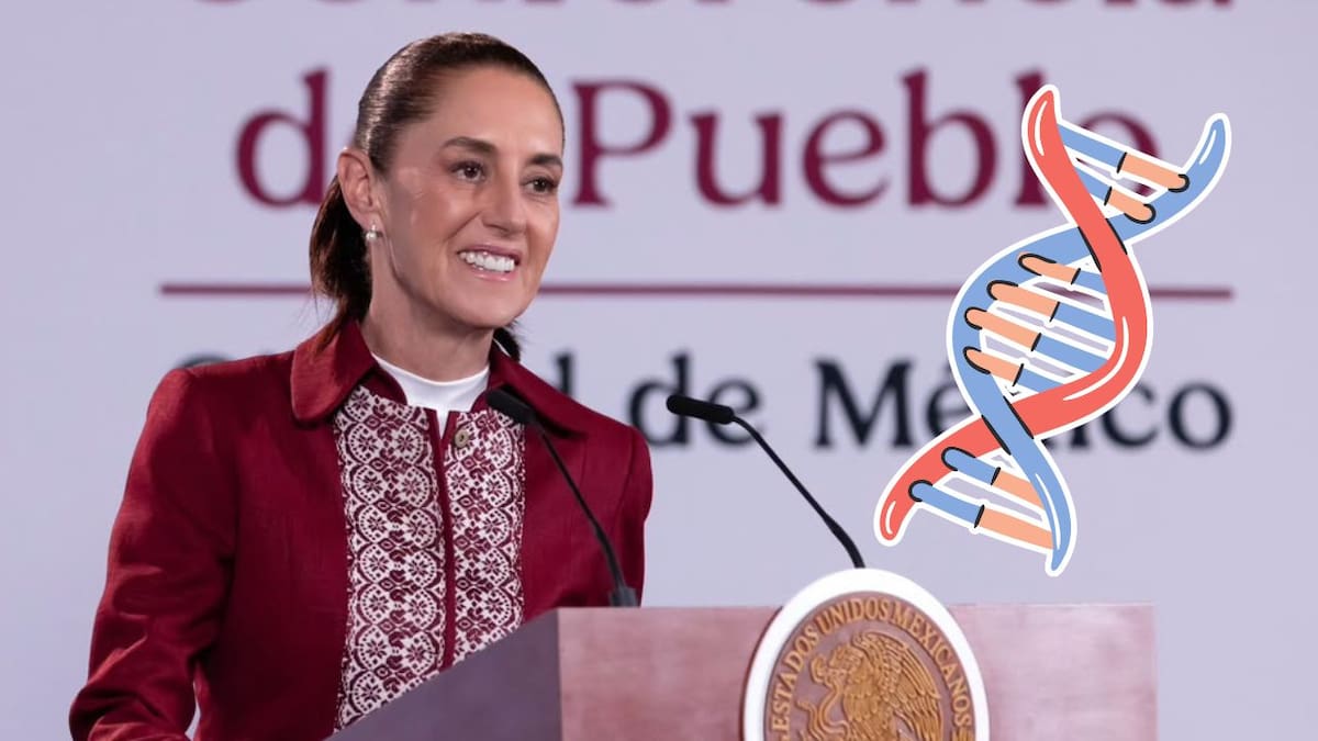 El Gobierno de México reporta la localización de más de 16 mil personas desaparecidas mediante cruces de datos y operativos de búsqueda, pero reconoce que algunos casos aún requieren confirmación antes de actualizar el registro nacional.