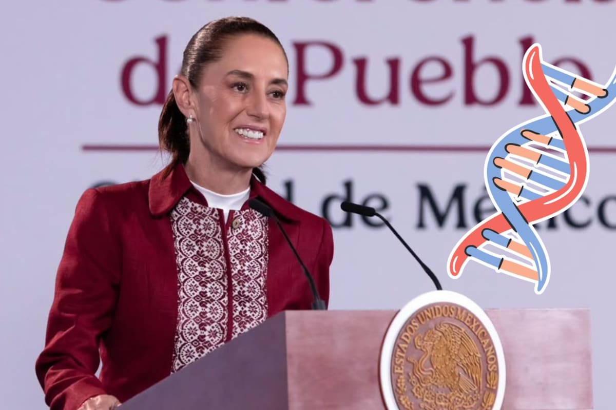 Sheinbaum reconoce importancia de crear un Banco Nacional de ADN para agilizar identificación de personas desaparecidas