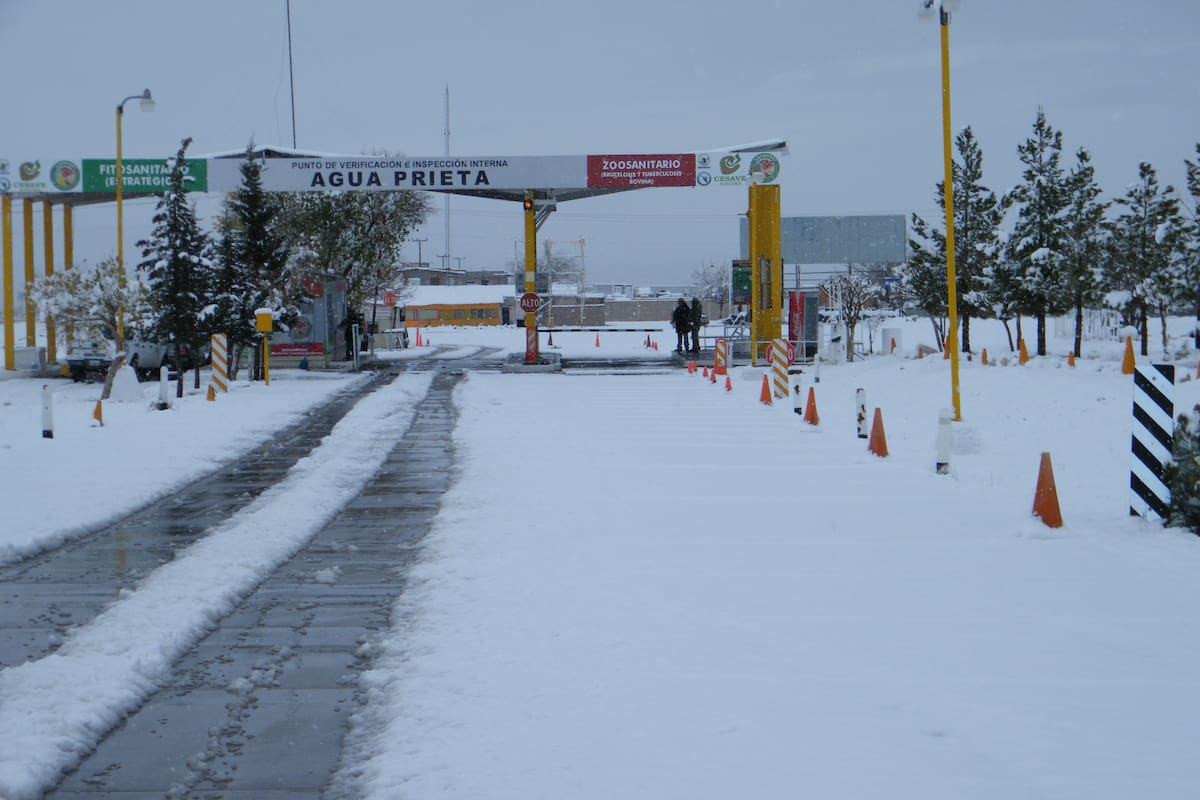 Sonora enfrenta primera tormenta invernal de la temporada; alertan por bajas temperaturas, lluvias y posibles nevadas