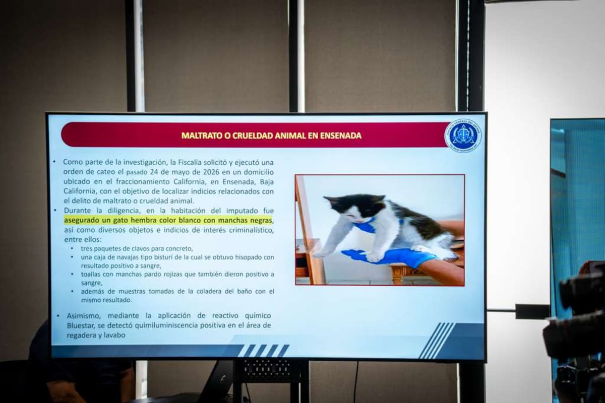 Pedirá Fiscalía General de Baja California pena máxima por maltrato de animales
