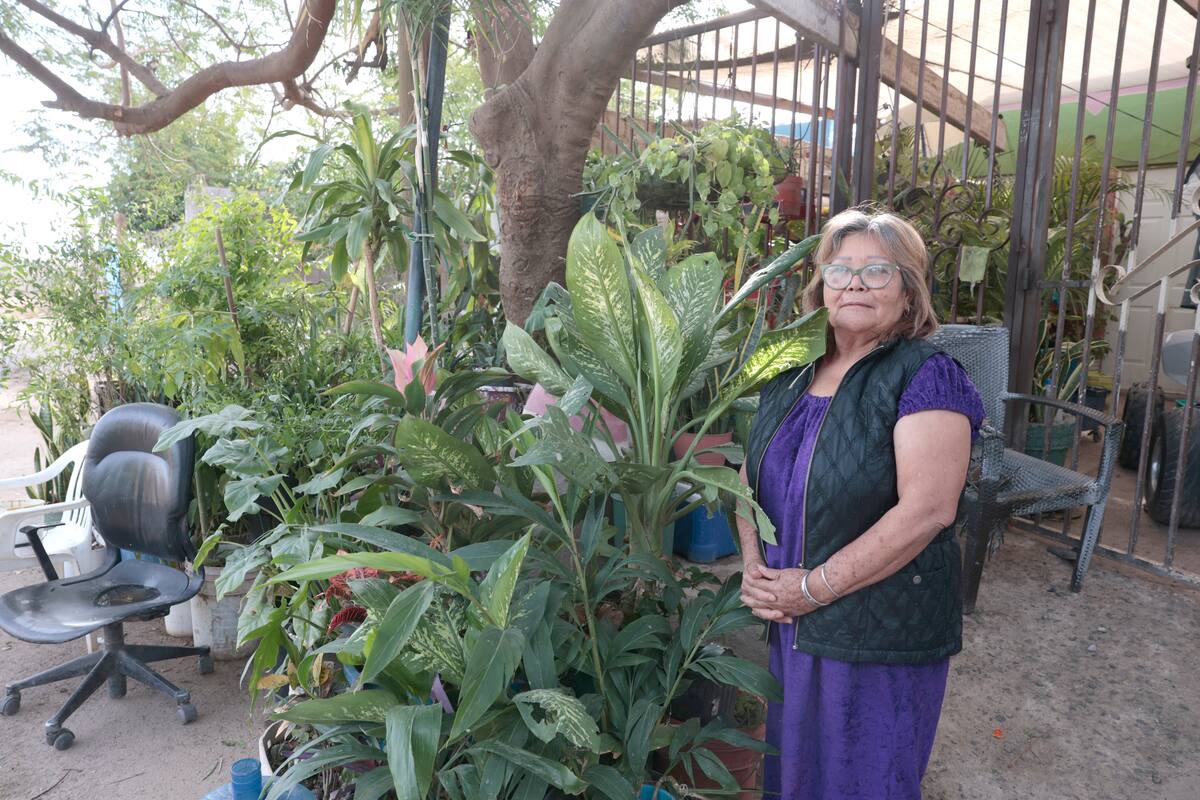 Hermosillo tiene menos del 4% destinado para áreas verdes y parques