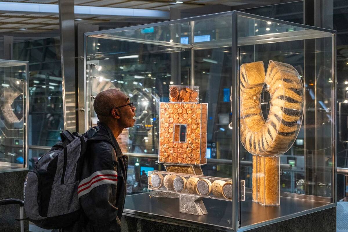 Exhiben arte binacional en Aeropuerto de San Diego como parte de la capital mundial del diseño 2024