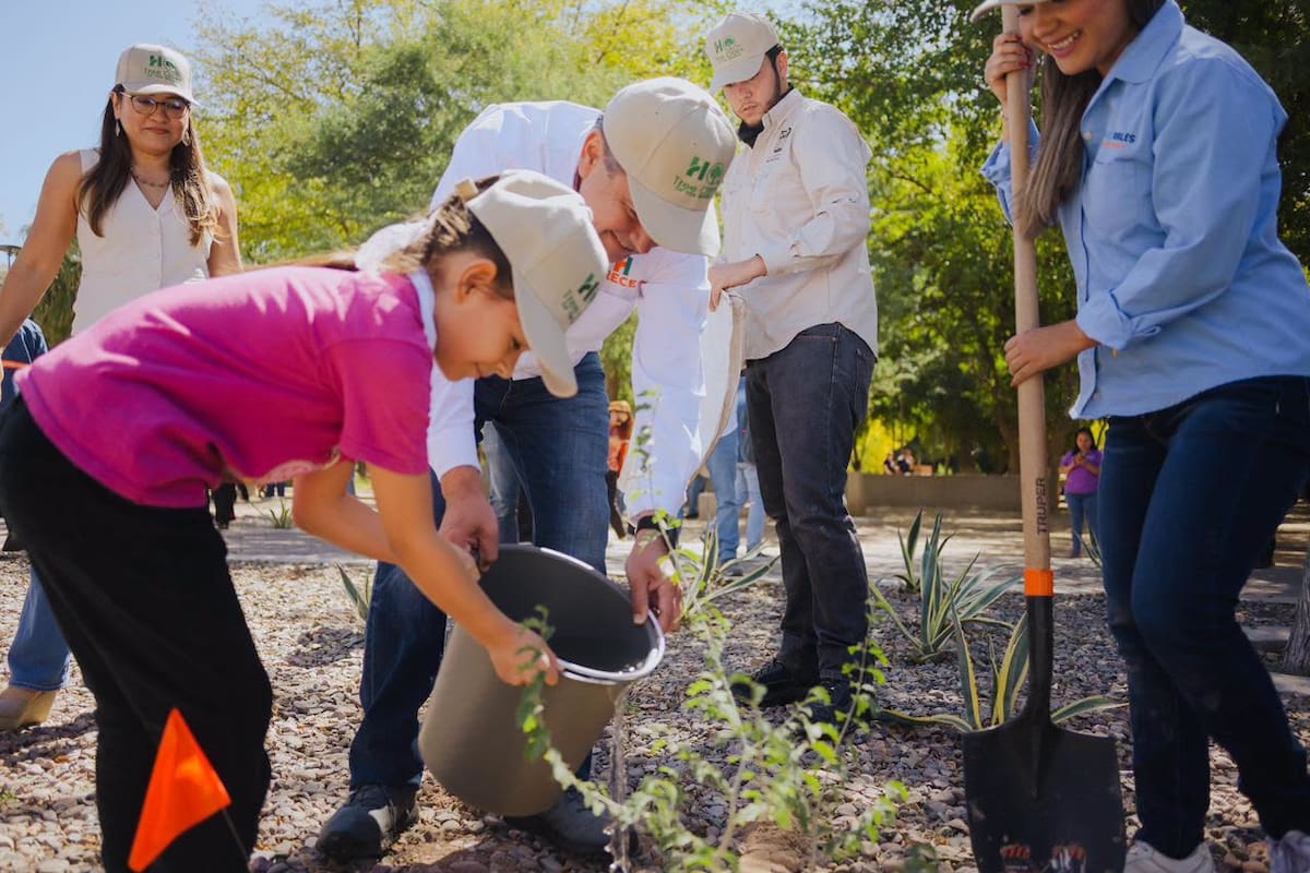 Árboles contra el calor en Hermosillo: impulsan arborización en colonias del Norponiente para reducir islas térmicas