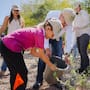 Árboles contra el calor en Hermosillo: impulsan arborización en colonias del Norponiente para reducir islas térmicas