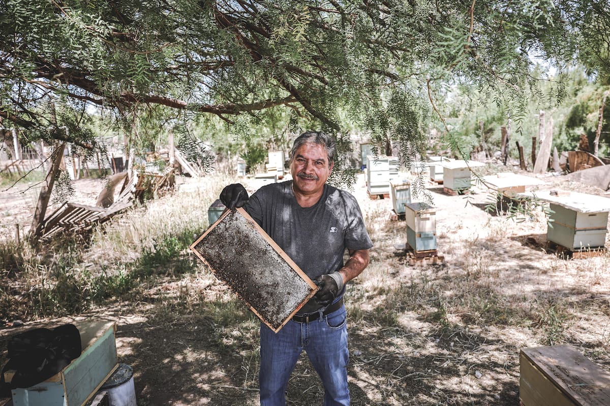 ‘’Mi deber es preservarlas y conservarlas’’: José de Jesús, apicultor de Mexicali