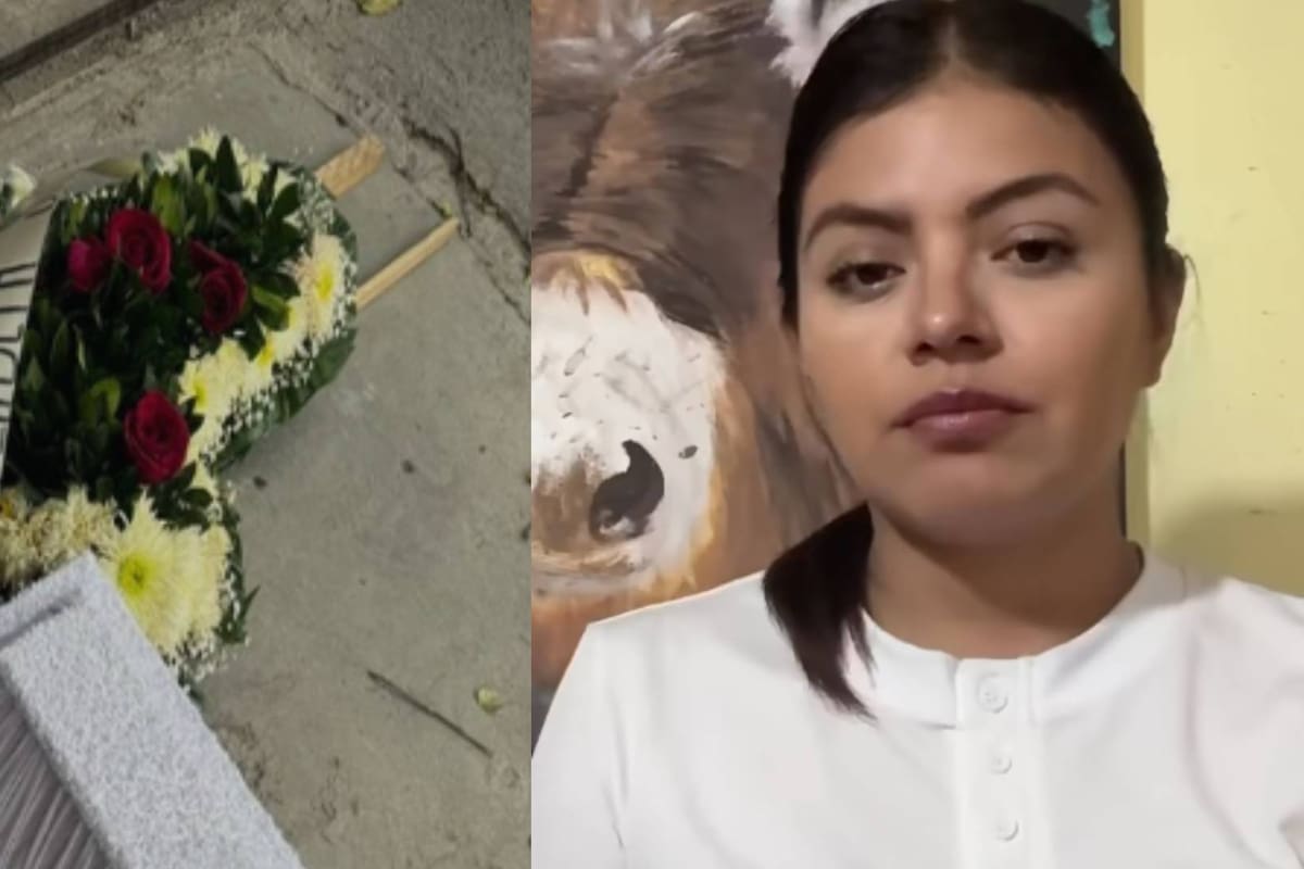 Activista animal denuncia amenazas luego de revelar sacrificios de mascotas rescatadas en operativos en Edomex