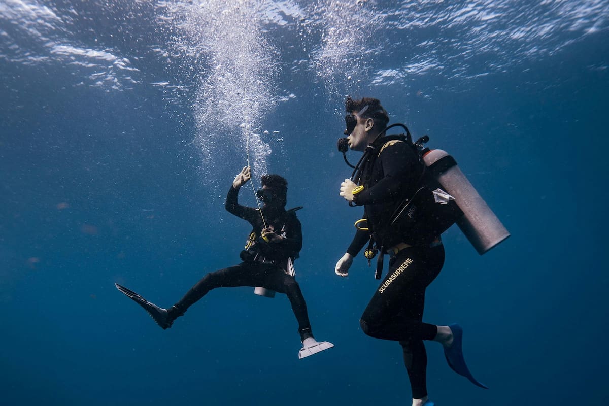 ¿Sabías que los buzos y pescadores utilizan lentes polarizados para ver mejor bajo el agua?