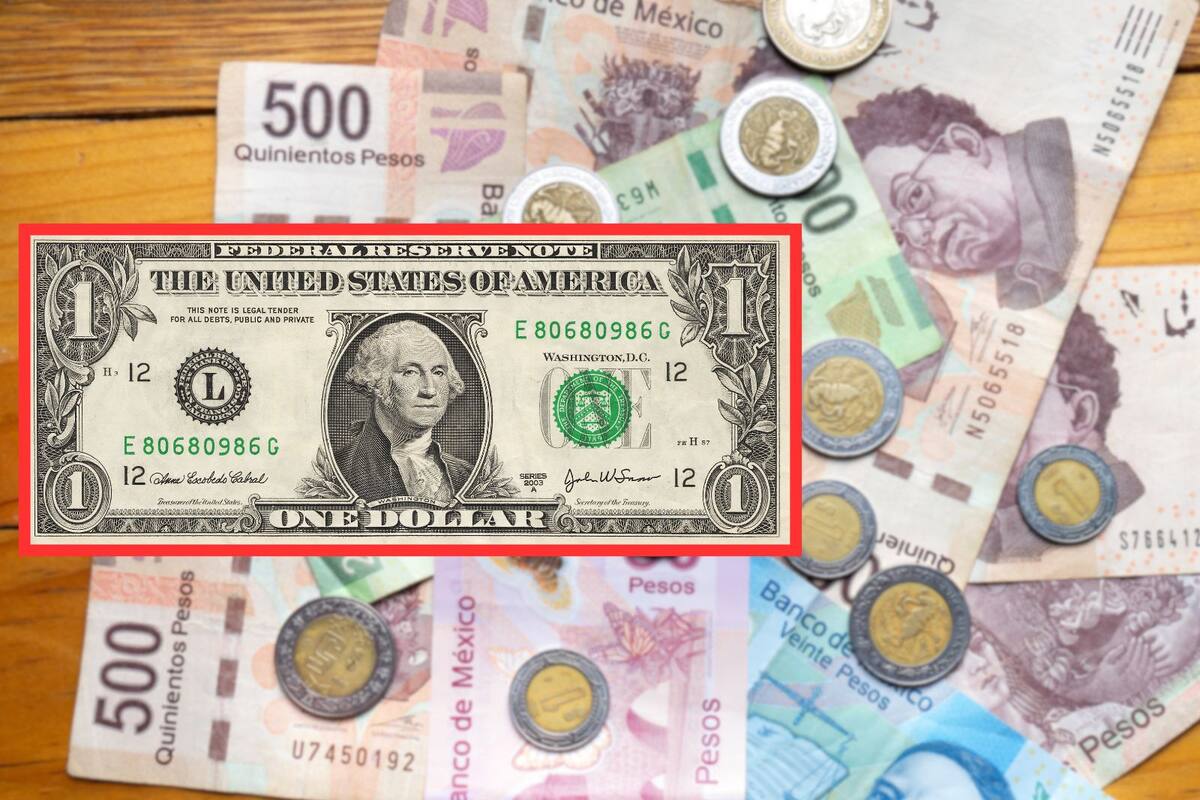 Dólar continúa subiendo y el peso mexicano se cae este 25 de febrero del 2025: ¿En cuánto se cotiza hoy?
