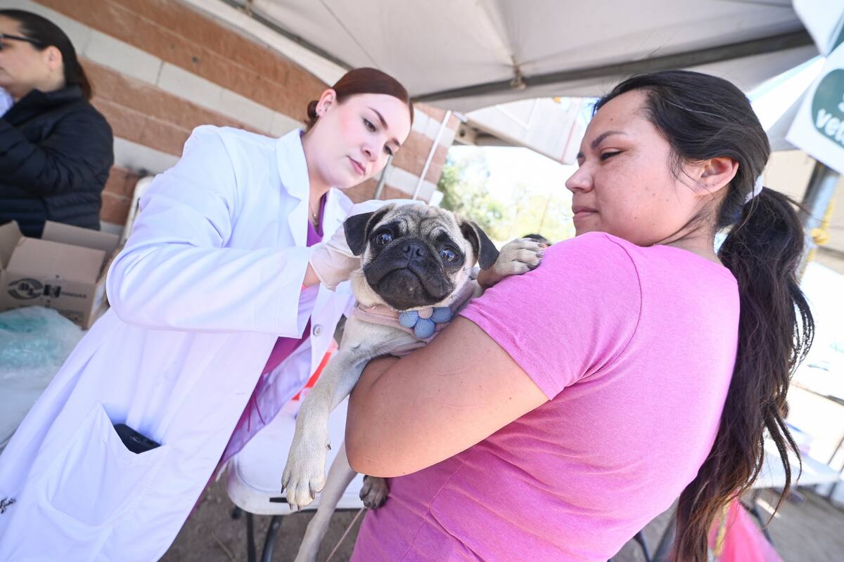 Cerca de 1600 servicios se ofrecieron en la brigada UABC en tu Comunidad en Mexicali