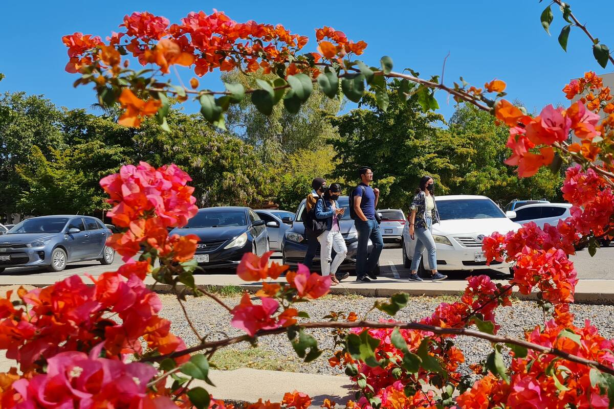 ¿Qué universidades encabezan el World University Rankings?