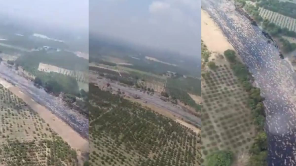 Larga mancha de petróleo invade ríos de Veracruz: pobladores alertan que el derrame de Pemex ya alcanzó el agua potable