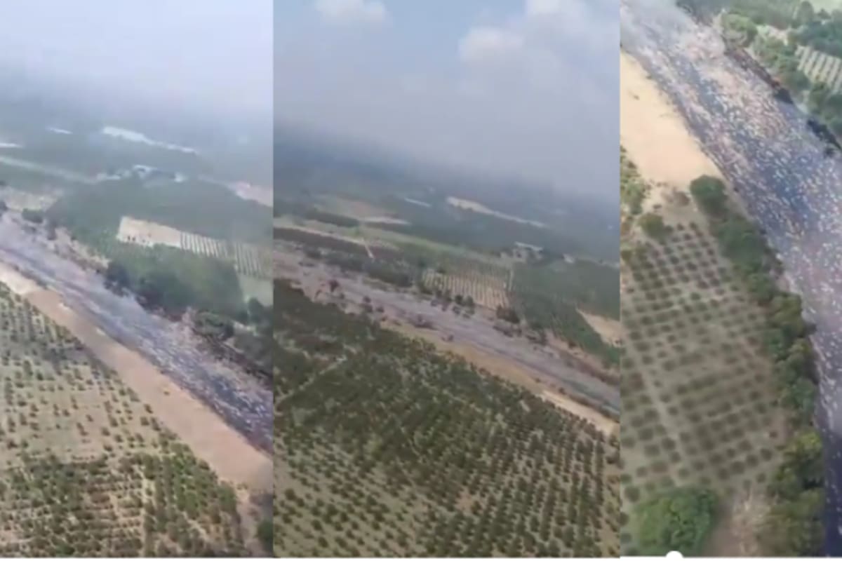 Larga mancha de petróleo invade ríos de Veracruz: pobladores alertan que el derrame de Pemex ya alcanzó el agua potable