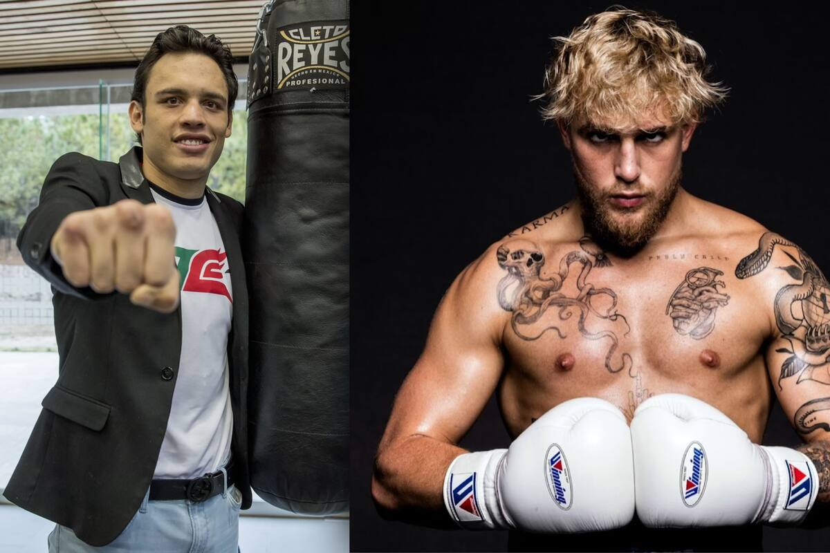 “No tengas miedo”: Chávez Jr. vuelve a retar a Jake Paul