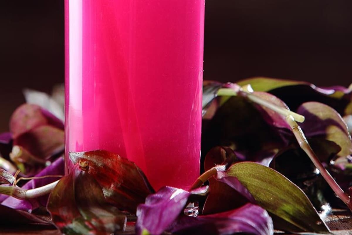 ¿Qué hace tan especial al matalí, la planta morada de Tabasco que quita la sed?