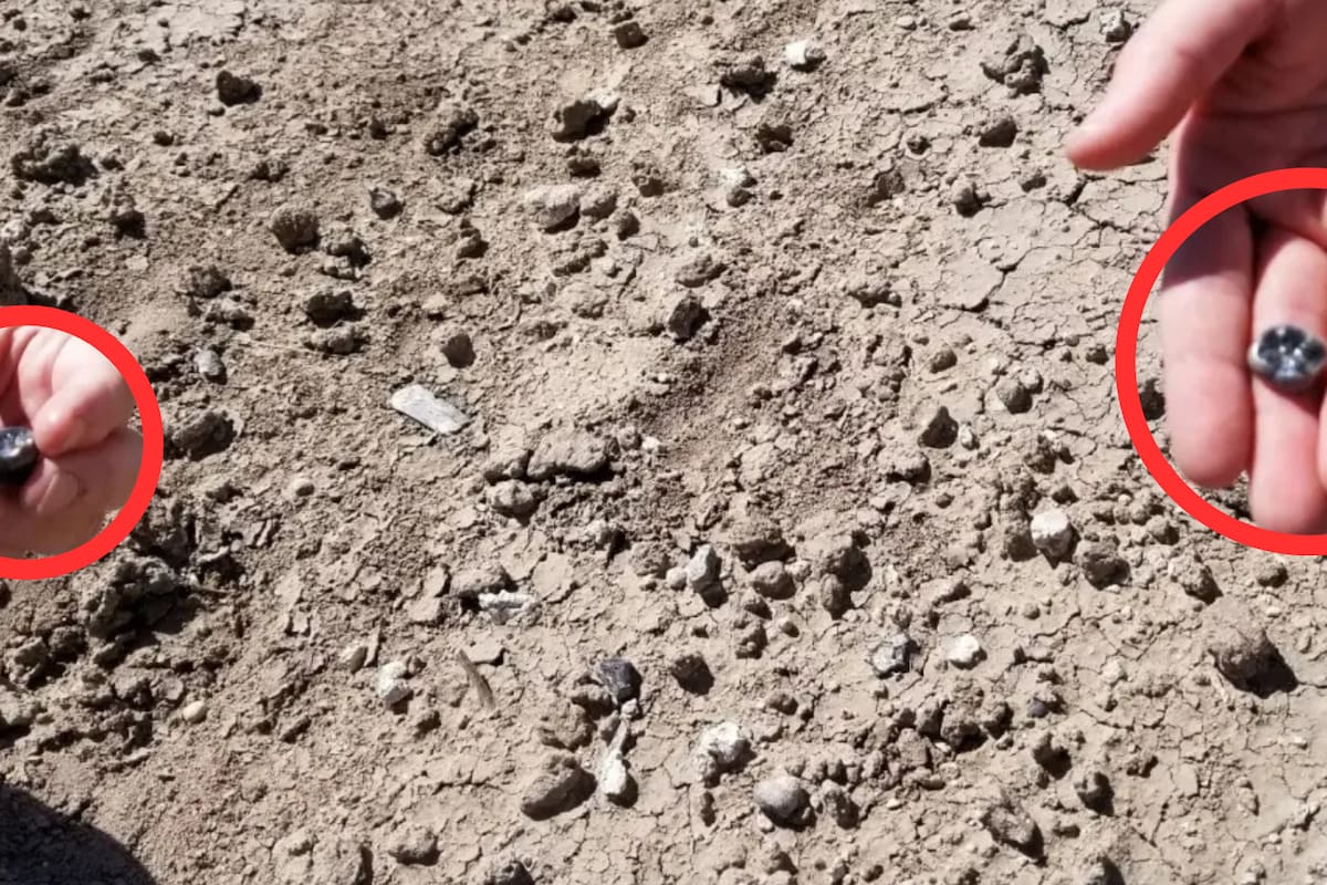 Dientes fósiles de 2.65 millones de años descubiertos en Etiopía amplían la comprensión actual de la evolución humana
