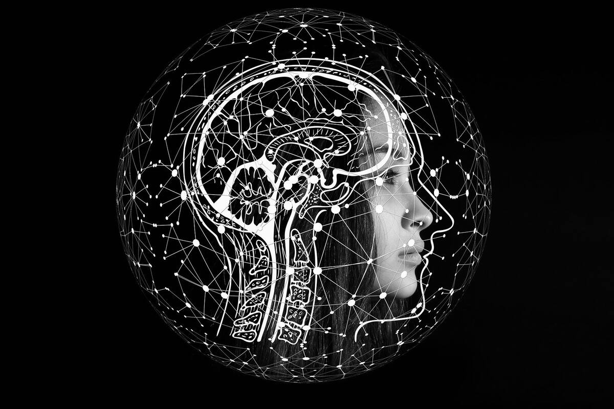 Descubren un nuevo tipo de señal en el cerebro humano