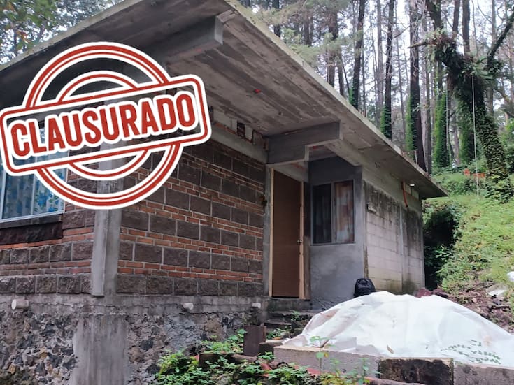 Construcciones ilegales en El Tepozteco: Profepa clausura obras que dañaban vegetación protegida