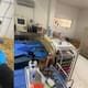 Así la recuperación de la osa Mina tras tres semanas de rehabilitación (VIDEO)