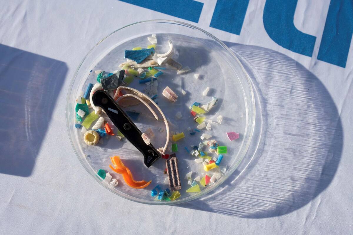 Los microplásticos en el fondo marino se han triplicado durante los últimos 20 años
