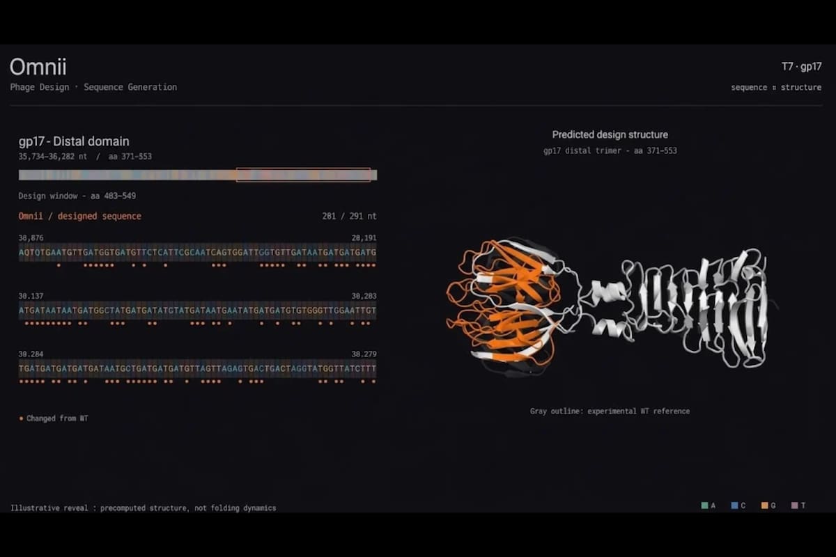 Un laboratorio de California afirma haber administrado a un paciente un virus diseñado con inteligencia artificial para combatir una infección resistente a los antibióticos, aunque todavía no publica resultados científicos que demuestren la eficacia del tratamiento