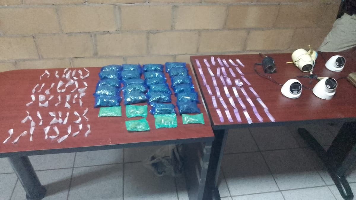 Foto: Cortesía.
