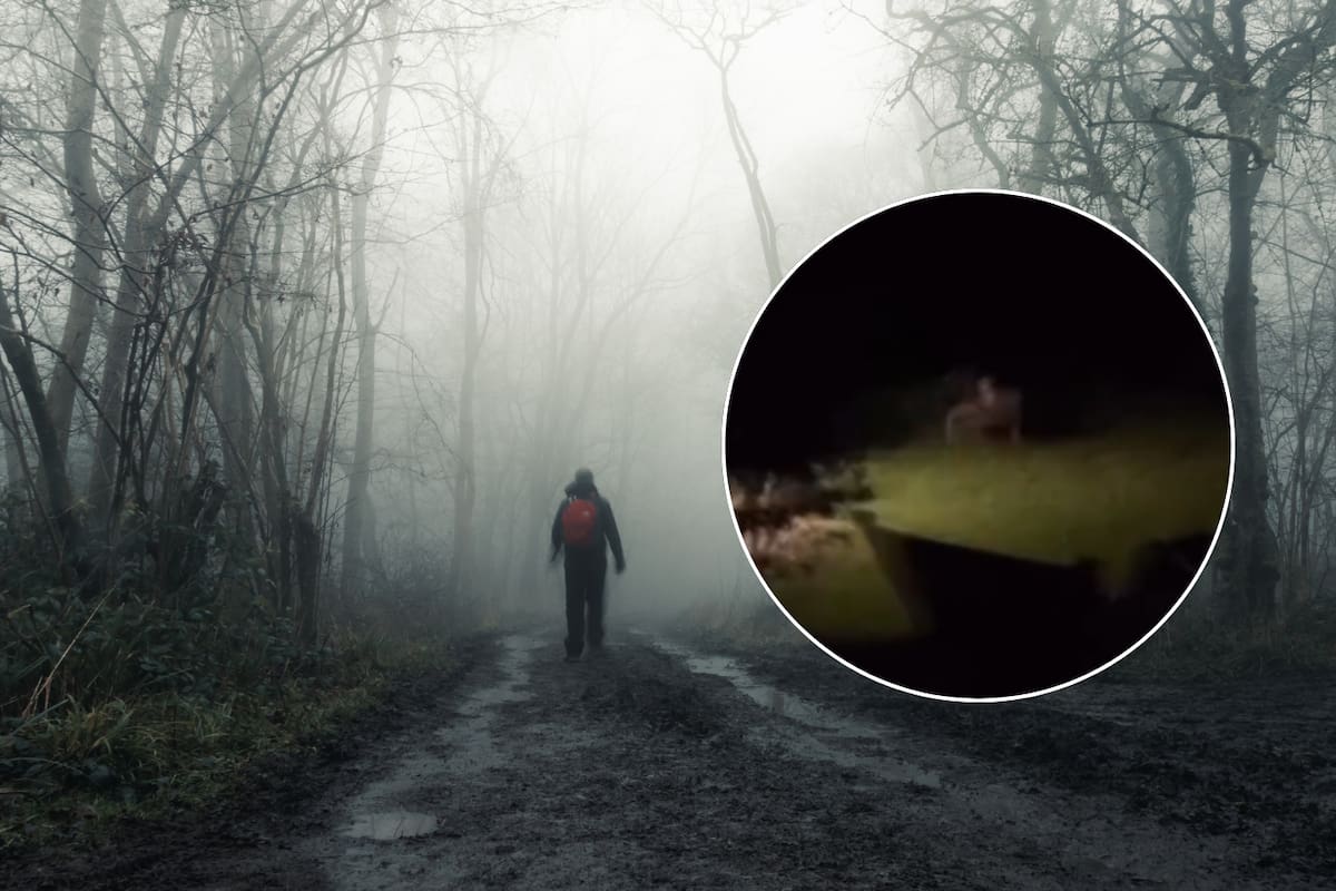 VIDEO: Captan criatura misteriosa en las Montañas Apalaches