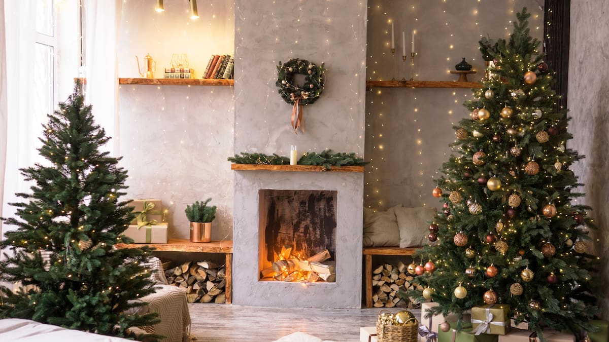 Árboles de Navidad: ¿cuánto cuestan este año? La temporada navideña llega con múltiples opciones para todos los presupuestos; árboles naturales, artificiales, de madera y alternativas hechas en casa. Los rangos van de 300 pesos a 40 mil