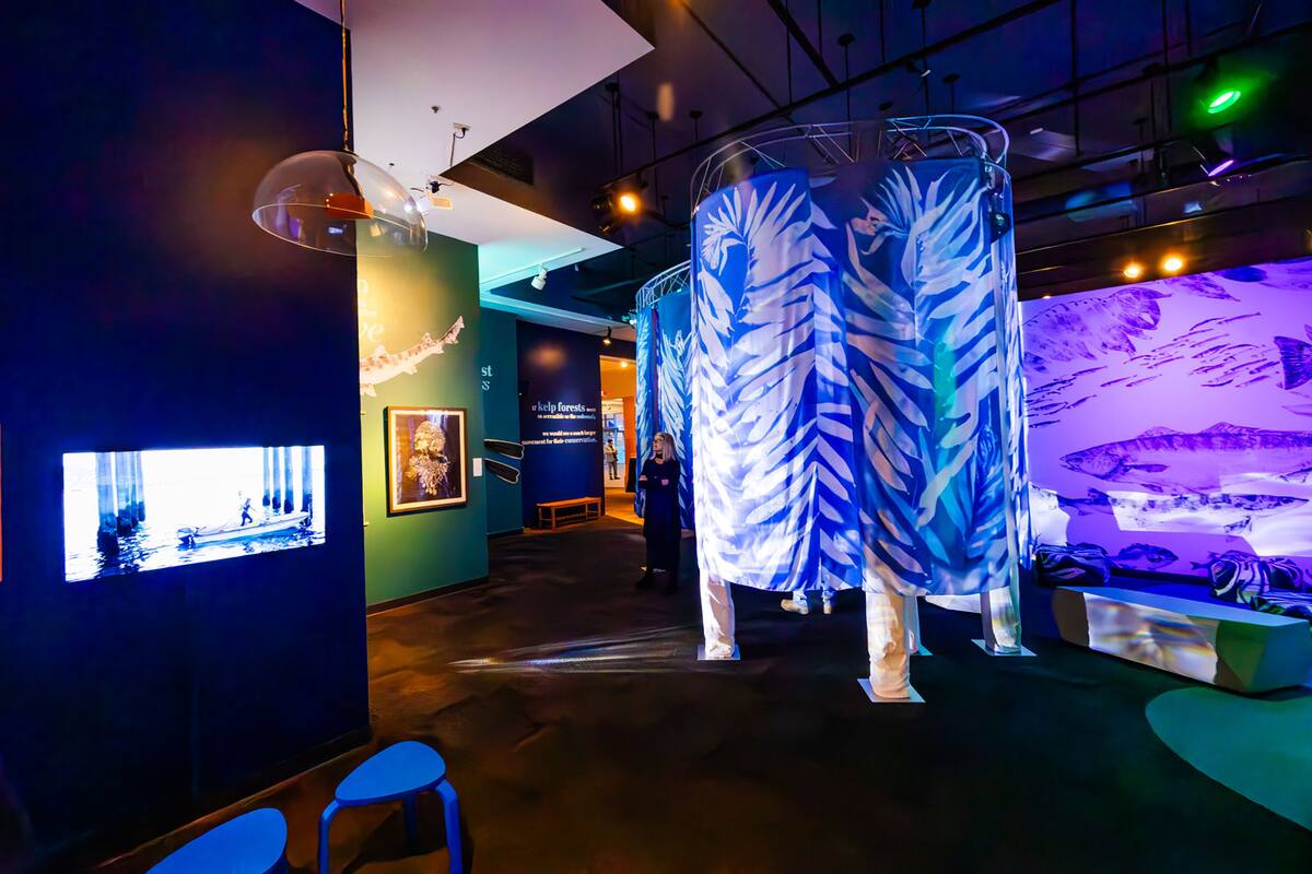 Birch Acuario de UC San Diego presenta la exhibición Hold Fast